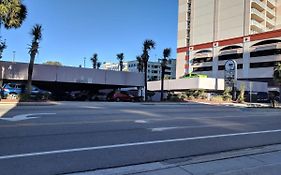 Palms 1006